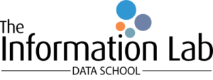 The Data School Logo