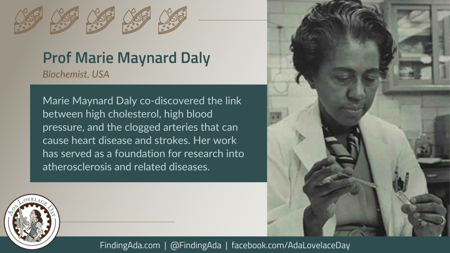 ALD22: Professor Marie Maynard Daly, Biochemist – Ada Lovelace Day